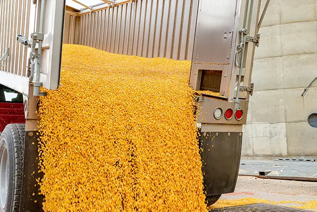 Bulk crop transportation in Ava IL area